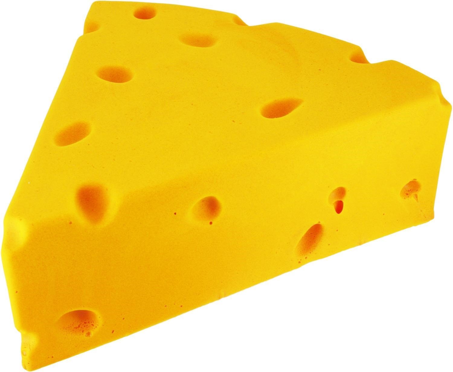 Chicago Cheesehead