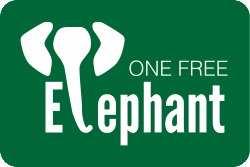 One Free Elephant