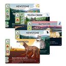 Play to Z Animal Rescue Team Cooperative Strategy Board Game