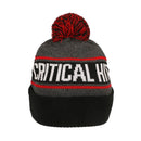 Bioworld Dungeons & Dragons Critical Role Cuff Beanie
