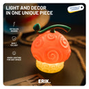 One Piece Hito Hito Fruit Lamp