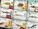 Finspan: Sharks & Reefs Expansion