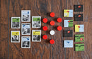 Watergate Board Game