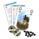 Petrichor: Cows Expansion