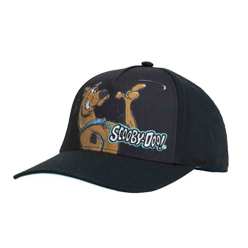 Scooby Doo Sublimated Youth Curved Bill Snapback