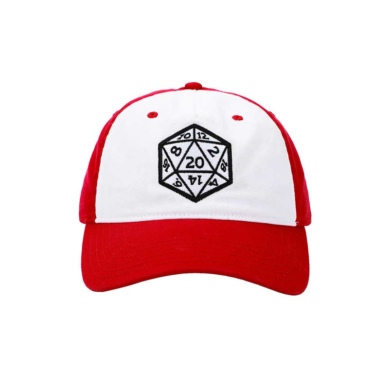 Dungeons & Dragons Embroidered Contrast Hat