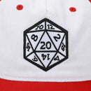 Dungeons & Dragons Embroidered Contrast Hat