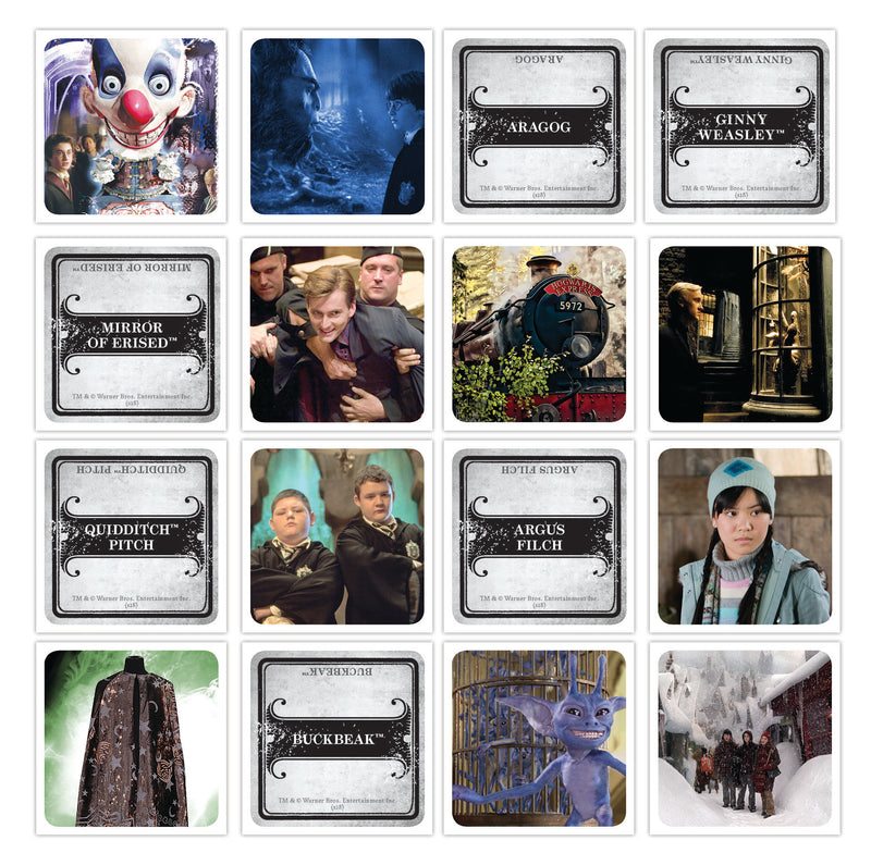 CODENAMES: Harry Potter