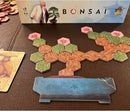 Bonsai Board Game | Let Your Tree Grow Before Your Eyes!