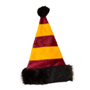 Harry Potter Santa Hat