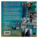 Influentia Card Game