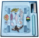 Dive Board Game - Catch a Ride on a Sea Turtle or Dolphin