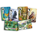 Meadow Board Game | Nature Observing Drafting and Set Collection Game