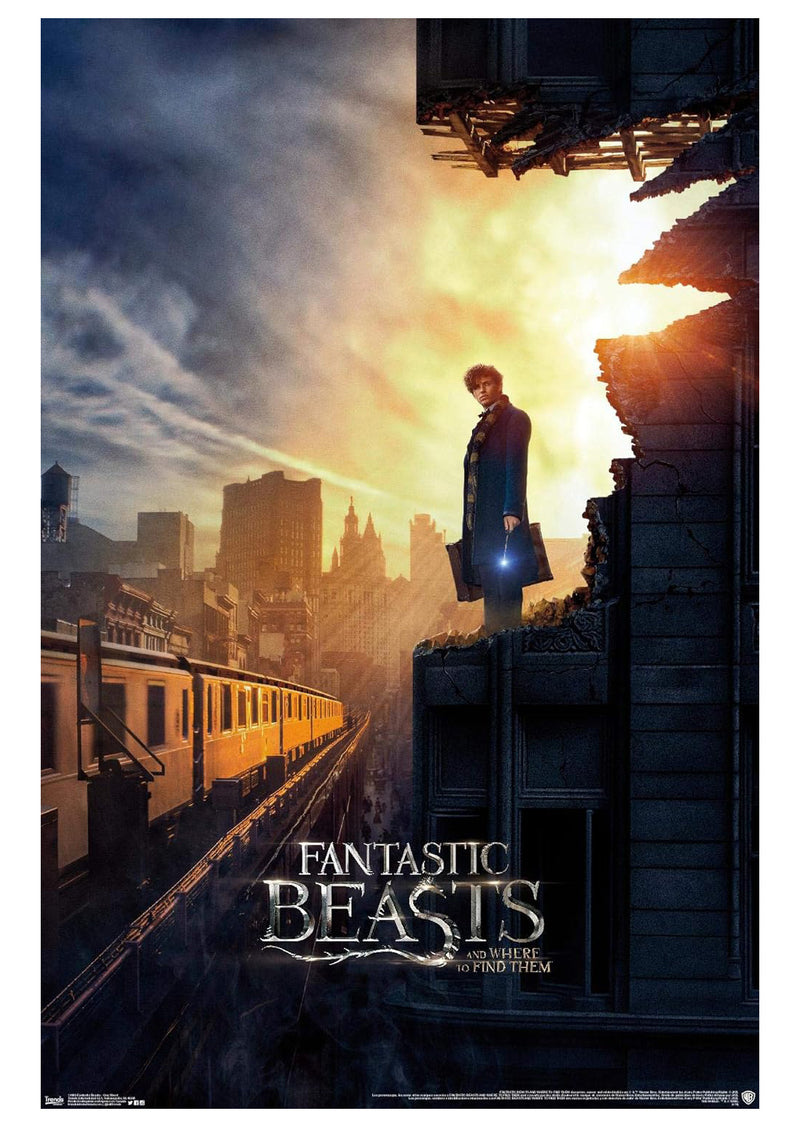 Fantastic Beasts and Where to Find Them Poster (Cardboard Backing)