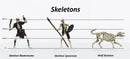 Characters of Adventure: Skeletons Group - Set B - Blademaster, Spearman, Wolf