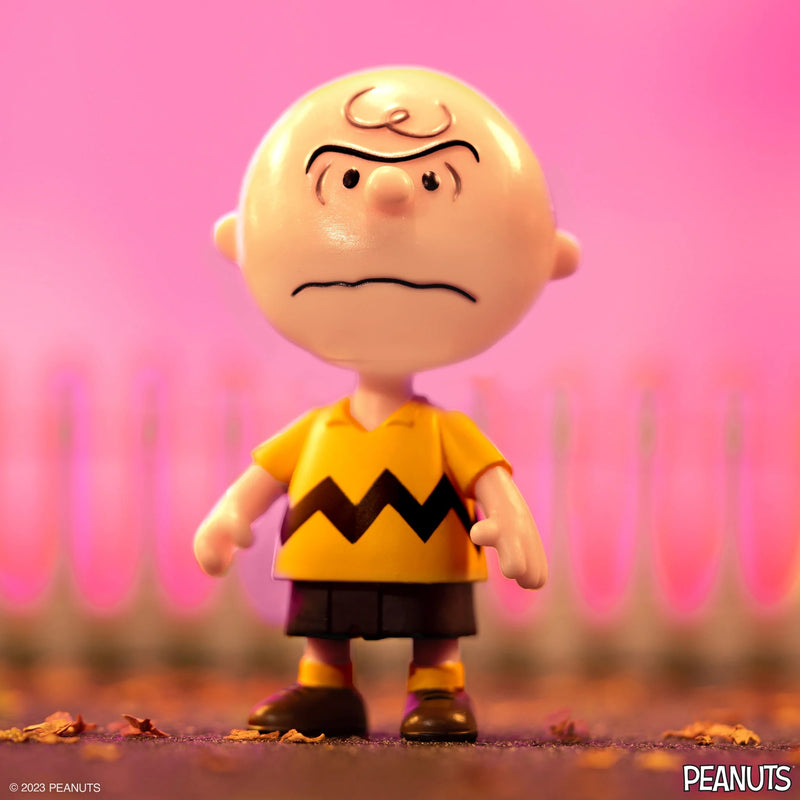 Peanuts ReAction Figures: I Hate Valentine's Day Charlie Brown, 3.75"