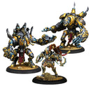 Warmachine: Orgoth Sea Raiders Battlegroup Box Set