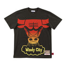Chicago Bulls Hardwood Classics Flames Men's Short Sleeve Shirt