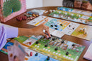 Wingspan Asia | Third Expansion to the Strategic Family Board Game