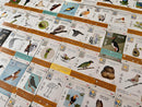 Wingspan Fan Art Pack