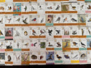 Wingspan Fan Art Pack