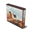 Collector's Album'n'Case "Artist Edition