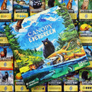 Canopy: Evergreen Strategy Board Game