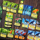Canopy: Evergreen Strategy Board Game