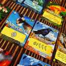 Canopy: Evergreen Strategy Board Game