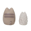 Pusheen & Stormy Salt and Pepper Shaker Set