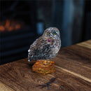 Harry Potter Facets Collection: Hedwig
