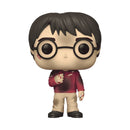 Funko POP! Harry Potter w/ Stone 3.75" Vinyl Figure (