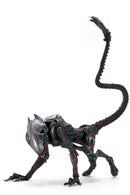 Aliens - 7″ Scale Action Figure - Kenner Tribute Ultimate Night Cougar Alien