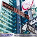 Wisconsin Badgers Ave Steel Street Sign