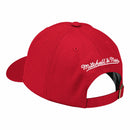 Chicago Bulls Team Ground Strapback Dad Hat, Red, One Size