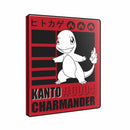 Ultra PRO - Charmander 9-Pocket Portfolio for Pokmon | TCG Binder Trading Card Album Collection Organizer CCG Portfolio Protector Card Sleeve