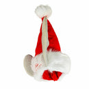 National Lampoon's Christmas Vacation Moose Ears Santa Hat