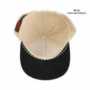 Legend of Zelda Hylian Shield Snapback Cap