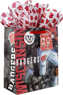 Wisconsin Badgers GoGo Gift Bag, Large