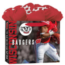Wisconsin Badgers GoGo Gift Bag, Medium