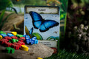 Evolution: New World - Butterfly Effect