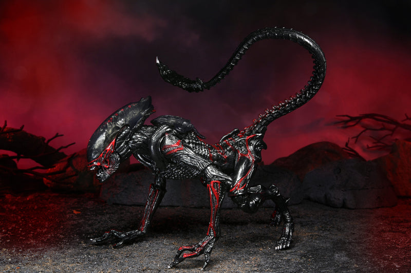 Aliens - 7″ Scale Action Figure - Kenner Tribute Ultimate Night Cougar Alien