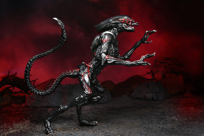 Aliens - 7″ Scale Action Figure - Kenner Tribute Ultimate Night Cougar Alien