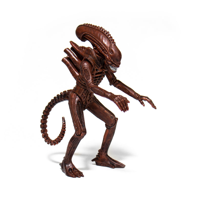 Aliens ReAction Figure - Alien Warrior B (Dusk Brown)